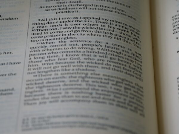 Pemahaman Mendalam tentang DV188 RTP